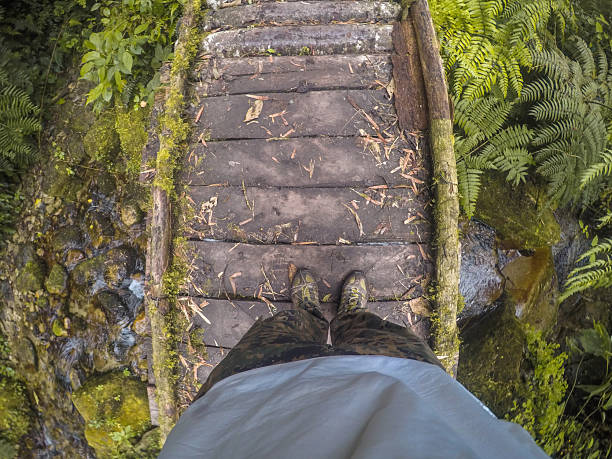 istock Hiker crossing small wooden bridge over stream in lush forest 2231282909