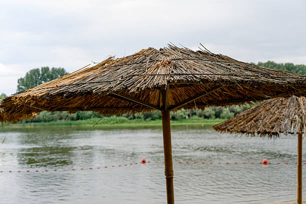 River bank with beach umbrellas and trees. Sun umbrellas on a small beach by the river