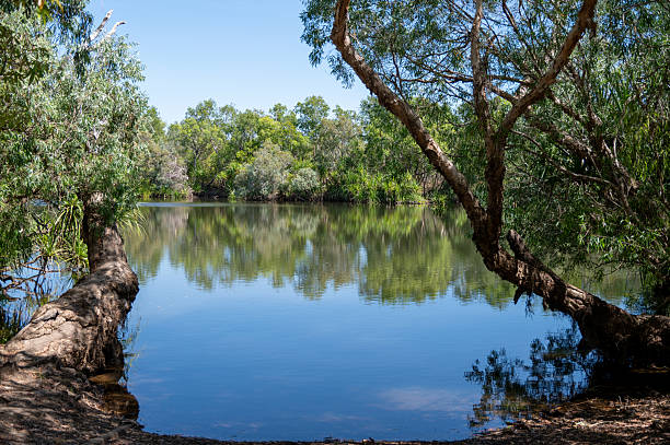 istock Billabong in remote outback Northern Territory 2231286659
