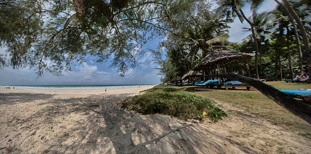 istock Panoramic view of a serene, empty sandy beach stretching to the horizon 2231286859