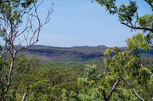 istock Mountain and bush landscapes in the Northern Territory 2231287607