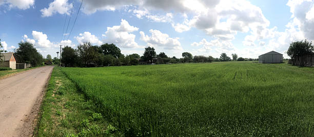 istock Green fields under a bright sky near a rural road 2231288146