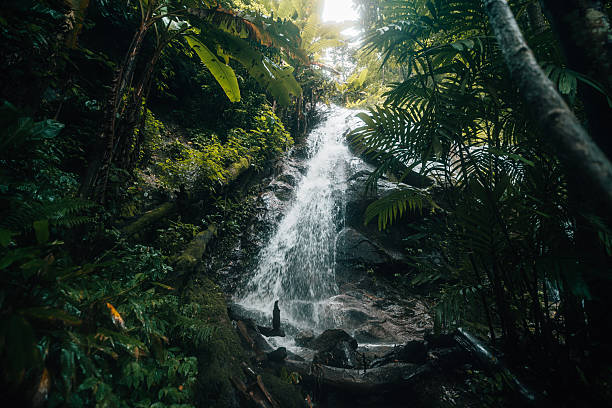 istock Dark green waterfall in the rainforest 2231291870