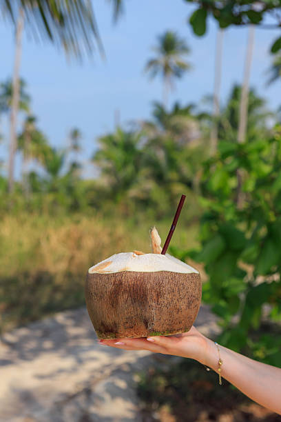 Sipping coconut water in Thailand's nature