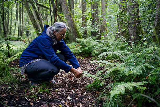 istock Woman explores Plants in the forest 2231295925