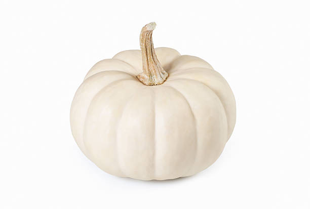 istock Baby Boo pumpkin Mini White Squash on White 2231305086
