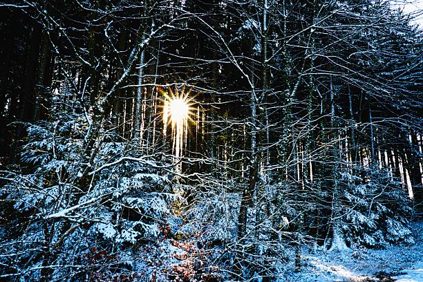 Snow-covered hiking path on a popular trail in Slovenia