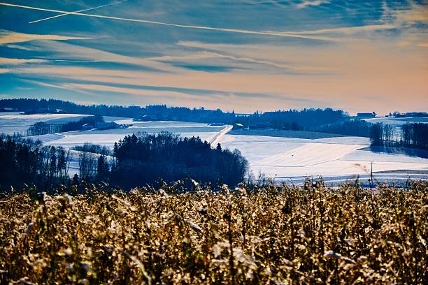 Winter landscape - Schopflocher Moor in the Swabian Alb