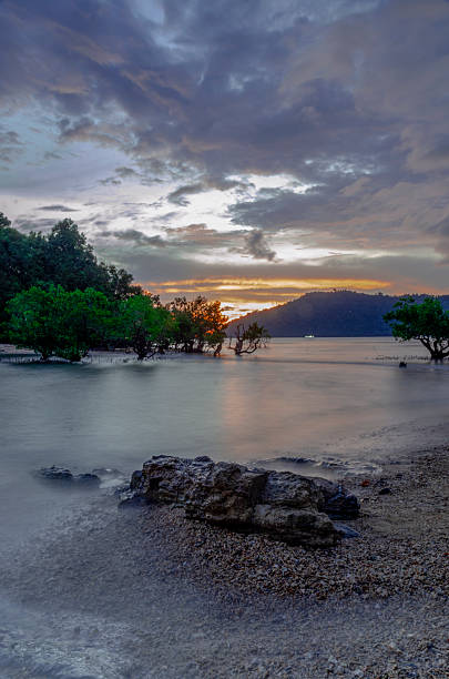 istock Tropical Seascape with Mangrove at Sunset 2231310366