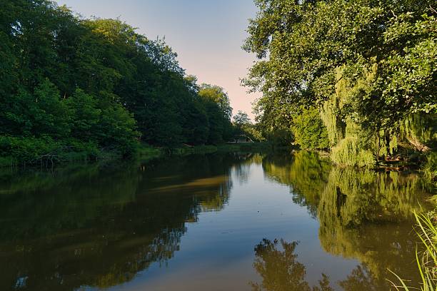 Calm waters of the river mirror the surrounding trees, creating a serene atmosphere. The sun rises in the background, illuminating the lush landscape with gentle light.