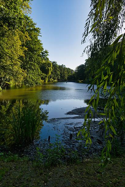 istock Calm lake surrounded by lush greenery in a tranquil forest setting during a clear blue sky afternoon 2231320117