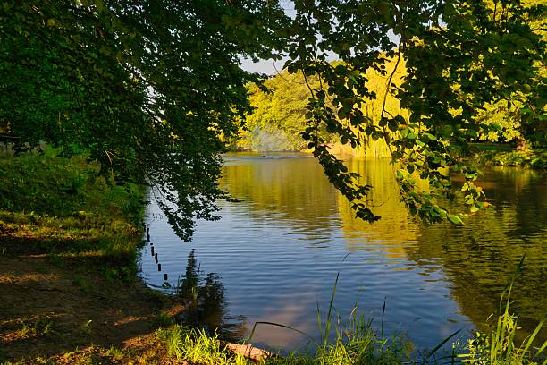 Sunlight creates a warm glow on the tranquil lake surrounded by lush trees, showcasing the beauty of nature during a peaceful afternoon. The gentle ripples play across the water.
