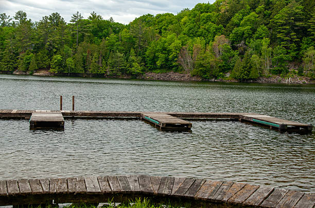 istock A dock on a beautiful forested lake 2231321146