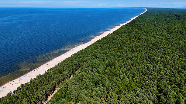 istock coast beach view from above Baltic Sea Stegna Poland 2231328867