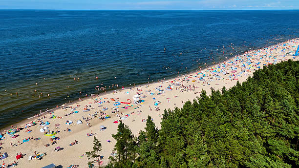 istock coast beach view from above Baltic Sea Stegna Poland 2231329350