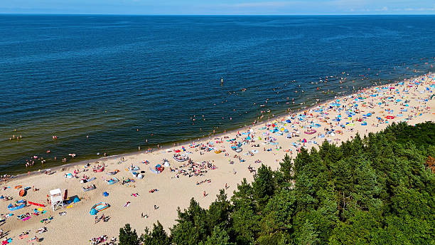 istock coast beach view from above Baltic Sea Stegna Poland 2231329428