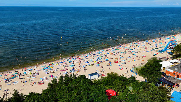 istock coast beach view from above Baltic Sea Stegna Poland 2231329703