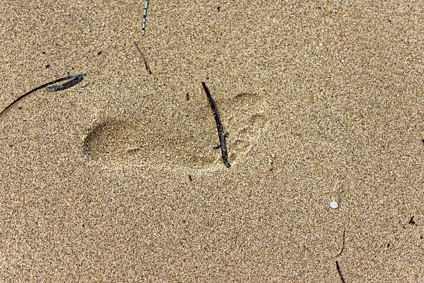 A pair of feet in white socks resting on a sandy beach, with a clear blue sky and a hillside in the background.