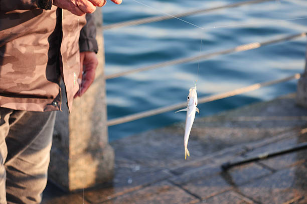 A person holds a freshly caught fish above calm waters at sunset.