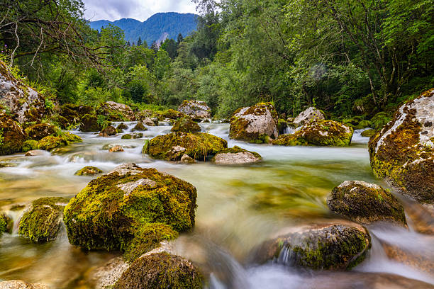Alpine river in Valle Pesio, Piedmont