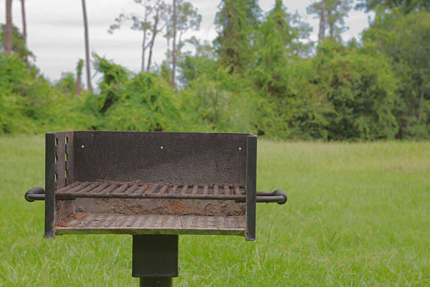 Outdoor grill in serene park environment surrounded by grass and trees, perfect for barbecue. Represents nature, leisure, and outdoor activities.