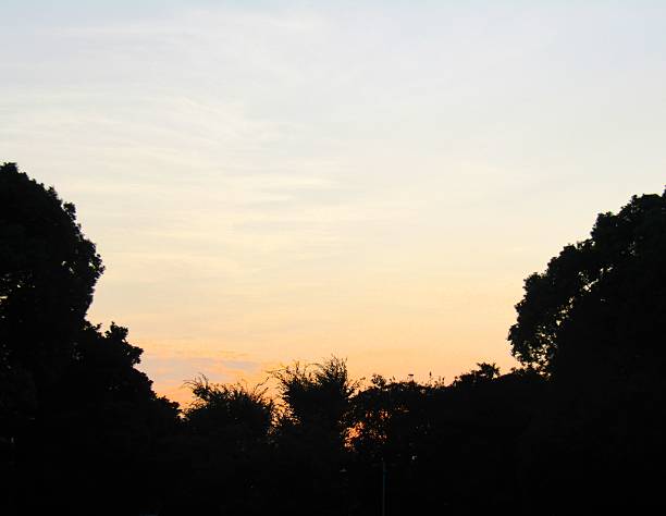 Colors of sunrise.