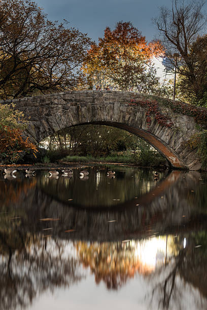 istock Central Park New York City 2231347151