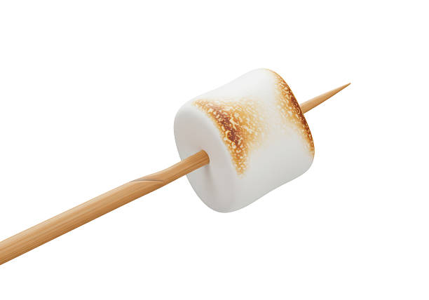 Isolated Roasted Marshmallow on a Wooden Skewer