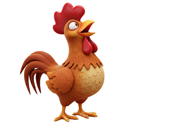 istock Isolated Crowing Cartoon Rooster 2231350956