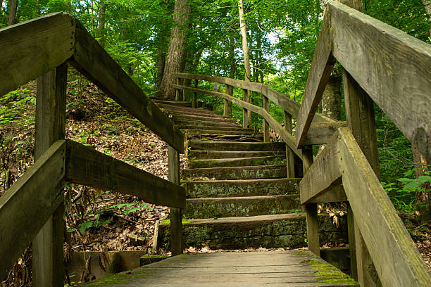 istock Shades State Park Trails 2231351305