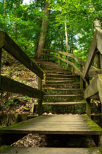 istock Shades State Park Trails 2231351503