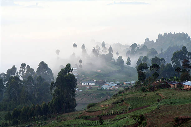 istock Landscape in Western Uganda 2231352808