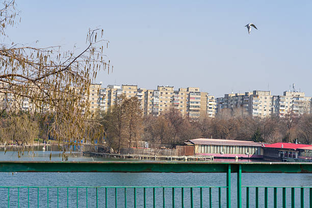 Landscape with old green trees in Bucharest downtown park