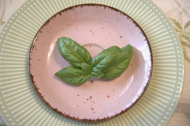 Fresh green basil leaves on a small plate, close-up with copy space.