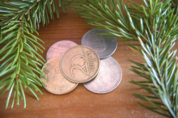 Hungarian forint coins on a wooden table decorated with pine branches, concept of saving money for Christmas.