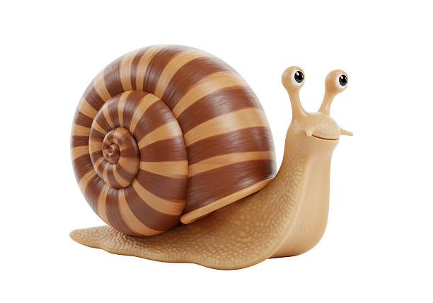 istock Isolated Smiling Cartoon Snail with Striped Shell 2231354508
