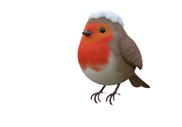 Robin perched on a tree branch.