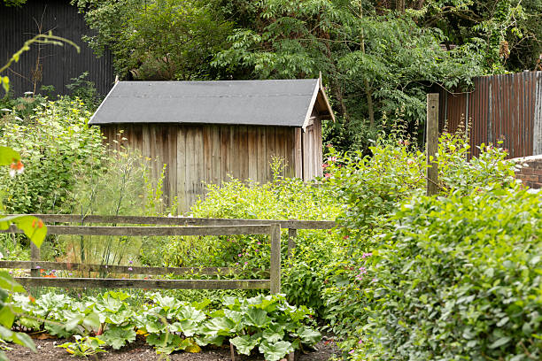 istock A vibrant vegetable garden featuring diverse plants and flowers thrives beside a charming red brick cottage under a soft sky, 2231359080
