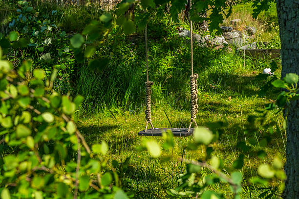 Rustic rope swing hanging in shady garden area