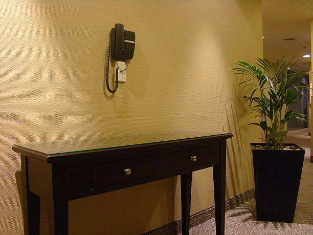 The image shows a hotel hallway with a classic decor. A black wooden table is positioned beneath a wall-mounted telephone, and a large indoor potted plant adds a touch of nature. The neutral-toned walls and carpet offer a serene and welcoming atmosphere. This setup conveys a sense of sophistication and order.
