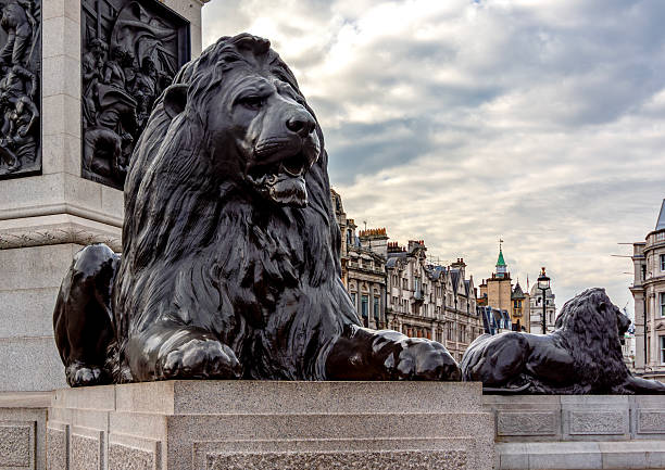 Trafalgar square lions at Nelson column, London, UK