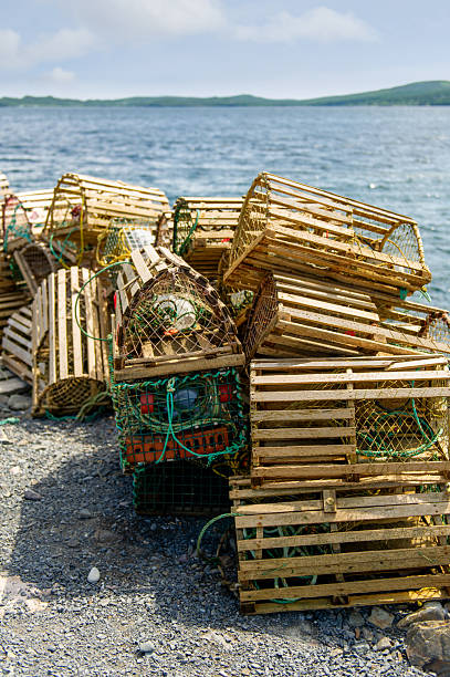 istock Stacked wooden lobster traps on rustic dock in Dildo, Newfoundland 2231375861