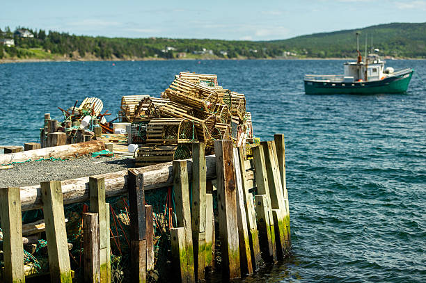 istock Wooden lobster traps stacked on dock overlooking Dildo harbour 2231375888