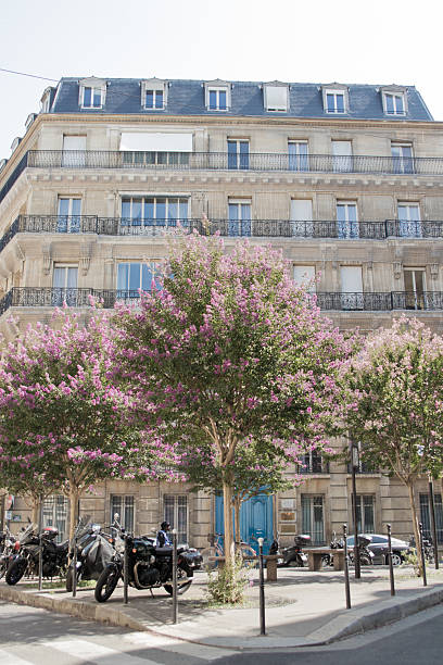 istock street in paris old town 2231385386