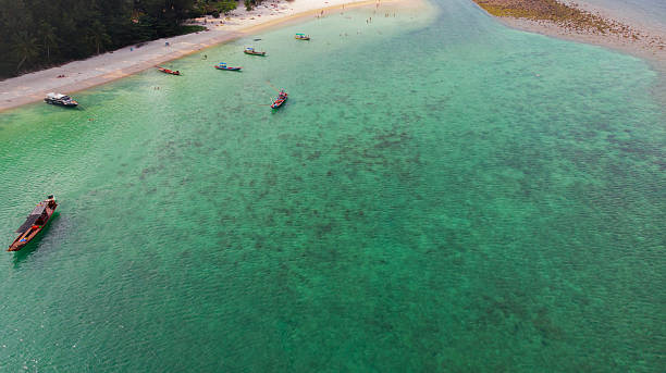 istock Aerial view of Haad Rin Beach 2231386450