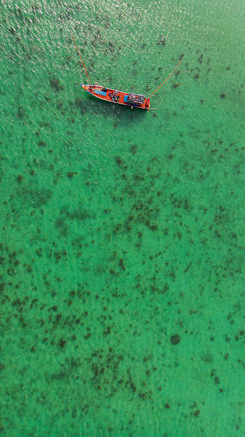 istock Aerial view of Haad Rin Beach 2231386452