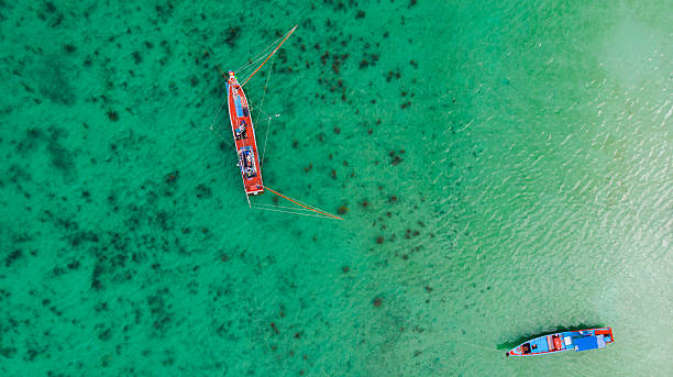 istock Aerial view of Haad Rin Beach 2231386501