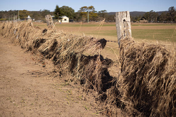 Dry grass and debris is seen caught in a farm fence after flooding in Taree, New South Wales, Australia
