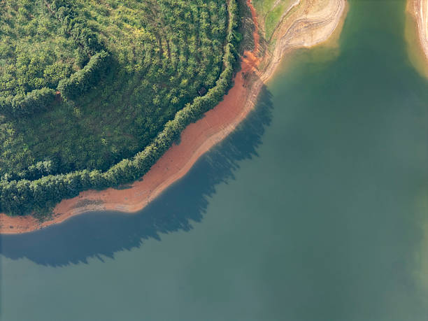 istock Aerial View of Forested Shoreline with Sandy Beaches 2231395992