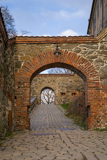 istock Brick Arch to the Past 2231396020